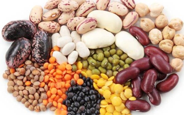 Understanding the Health Conveniences of Beans and Legumes