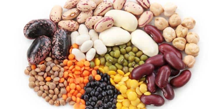 Understanding the Health Conveniences of Beans and Legumes