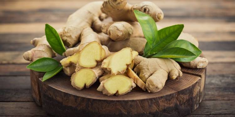 Why Ginger Ought To Be an Obligatory Component of Diet plan