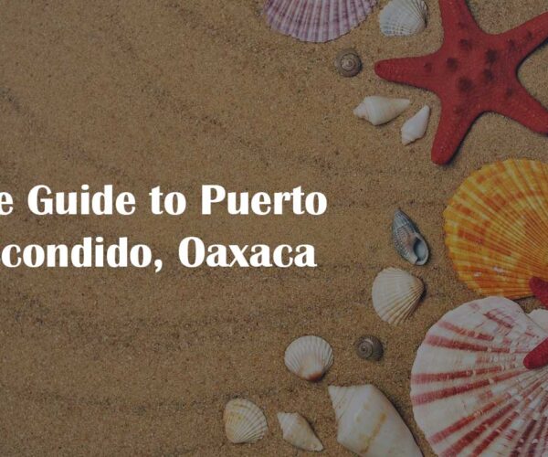 The Guide to Puerto Escondido, Oaxaca By Mainichi Coreal