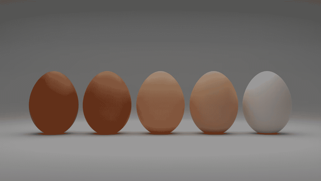 How Many Types Of Eggs? How To Choose Perfect Egg For You?