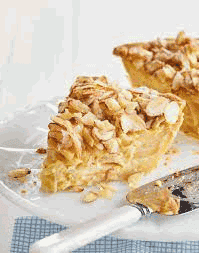 Custard Apple Pie