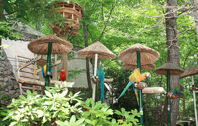 Parrot Mountain and Gardens