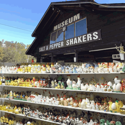 Salt-Pepper-Shaker-Museum